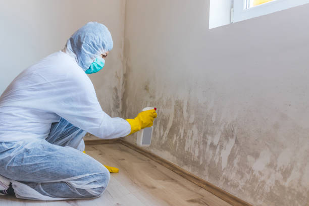 Crawl Space Mold Remediation treatment of floor joists in Elkridge