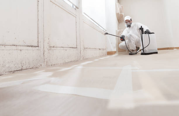 Black mold remediation team in Elkridge